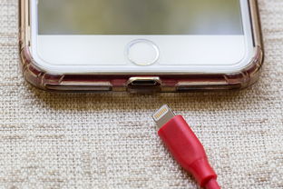 iPhone电池品牌大比拼：从知名品牌到小众选择，全面解析！iphone电池品牌